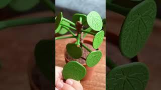 The Plant that Saves Marriages