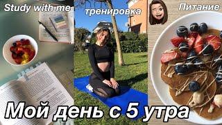 Мой продуктивный день с 5 утра | английский язык, моя тренировка, питание и конспекты по книгам