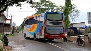 LAIN DARI YANG LAIN! Ada yang beda dari Bus Rosalia Indah Ini?