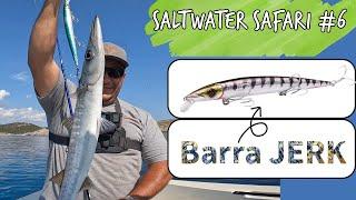 Saltwater Safari #6: Mastering Barracuda Fishing: The Game-Changing Bait Revealed!