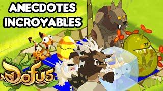 Des anecdotes incroyables et inconnues sur DOFUS !