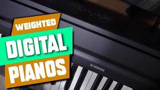 Weighted Keys Digital Piano : Can I Try Once from here?