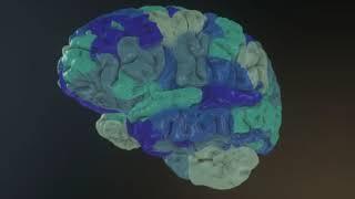 Virtual Brain Modeling for Epilepsy: The Next Generation