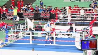 WAKO European kickboxing championship 2015 VILKAS