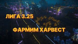 ЛИГА 3.25 _ ПРИБЫЛЬНЫЙ ФАРМ ХАРВЕСТА ( PATH OF EXILE )