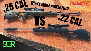 Gamo Magnum .22 VS .25 WHICH IS MORE POWERFUL?!