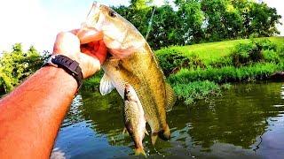Summer Bass Fishing - BIG BASS!