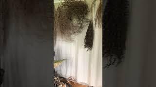 Studio time with my plant fibre to create sculpture