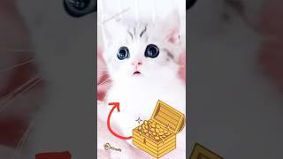 Cute kitty️ #cat #kitte #anime #cute #viralvideo #pets #shorts #catlover