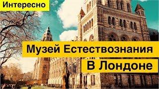 Музей Естествознания в Лондоне | Музей естественной истории.