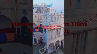 madrasa Faizul Uloom Thana Teen Rampur Up #short video