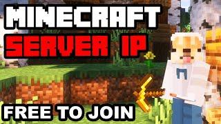 Best MINECRAFT SERVER To join in 2025 (1.21)