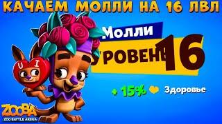 КАЧАЕМ КЕНГУРУ МОЛЛИ НА 16 УРОВЕНЬ В ИГРЕ ZOOBA