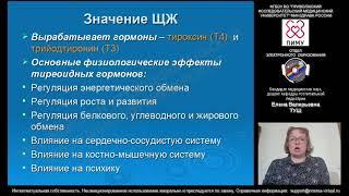 Патология щитовидной железы в неонатальном периоде. Врожденный гипотиреоз. Ч. 1. Демо-версия