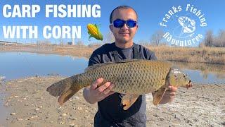 Colorado Carp Fishing With Corn 2022