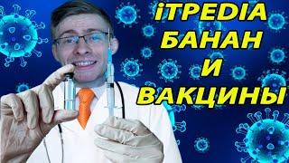 iTPEDIA И БАНАН ПРО  ВАКЦИНАЦИЮ | РЕАКТЫ СТРИМЕРОВ