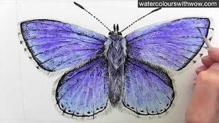 How to paint a realistic watercolor butterfly [a beginner step by step class]