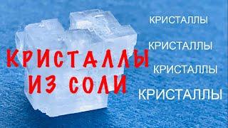 Как вырастить кристаллы | Морская соль VS Поваренная соль