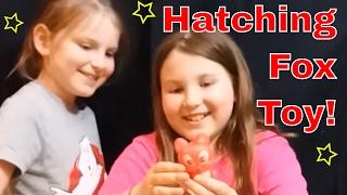 Hatching Fox toys - Time Lapse Hatching Fox toy - Unboxing and review!