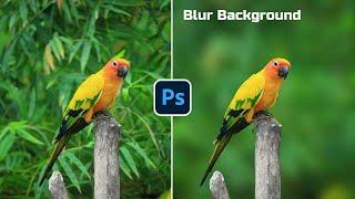 How to blur background - Photoshop For Beginners 2024