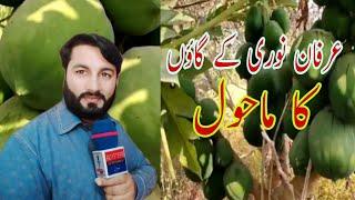 عرفان نوری کے گاؤں کا ماحول Irfan noori ke gaon ka mahaul