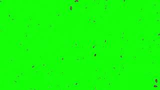 Falling leaves  FREE FOOTAGE   Green screen