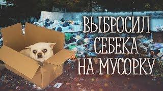 Выкинул Себека на мусорку