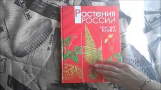 Растения России Красная книга Росмэн