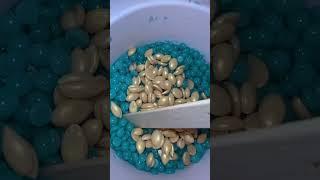 silicobowl makes it so easy to change my wax over! 2#waxingkituk #hairremoval #wax #legwax #waxing