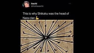 this is why Shikaku was the head of the nara clan