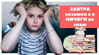 ДЕНЬ до ЭКЗАМЕНА и я НИЧЕГО не знаю / Что делать?! / ЕГЭ & ОГЭ (2019)