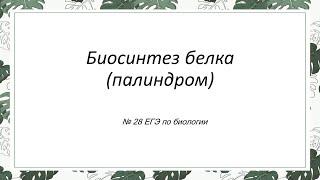 Разбор задания на палиндром (ЕГЭ по биологии)