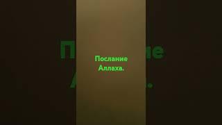 Послание Аллаха.