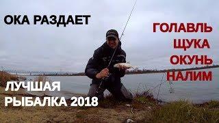 ЛУЧШАЯ рыбалка на МИКРОДЖИГ 2018 !!! Эмоции зашкаливают! - Рыбалка со stigan'ом