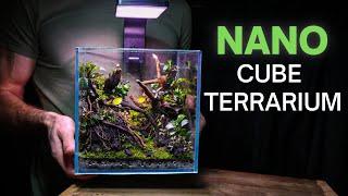 I Made a BREATHTAKING Nano Cube Terrarium, Here’s How!