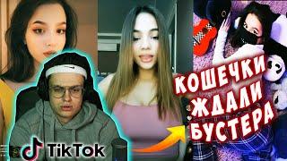 БУСТЕР ВЕРНУЛСЯ В ТИК ТОК К КОШЕЧКАМ !!! | КРИНЖ ТИК ТОК | СМОТРИМ ТИК ТИК