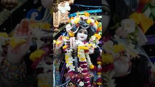 Radhe Radhe Shyam Japu Main Tere Galiyo Mein | #radha #vrindavan