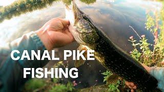 EPIC Canal Pike Fishing With Lures - UK Lure fishing - vlog