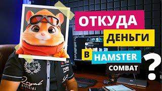 КТО ЗАПЛАТИТ ЗА ИГРУ В HAMSTER COMBAT | ОТКУДА ДЕНЬГИ В КРИПТО ПРОЕКТАХ (этапы развития)