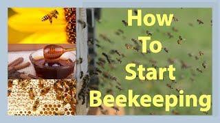 Beekeeping How To Start Beekeeping In 2025