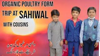 Organic Poultry farm outing trip at sahiwal | Ahmed Hamza A1