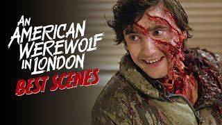 An American Werewolf in London's Best Scenes