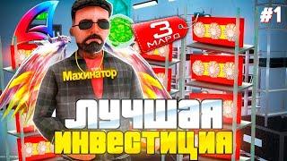 ЛУЧШЕЕ ВЛОЖЕНИЕ 2024 - ЗА МИЛЛИАРД или БОЛЬШЕ на ARIZONA RP! GTA SAMP