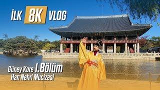 İlk 8K Vlog - Güney Kore 1.Bölüm: Han Nehri Mucizesi