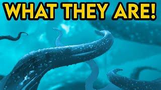 Destiny 2 - MYSTERY TENTACLES EXPLAINED! This Is What They Are