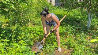 My wife collects eggs and cleans in the garden. Hard life in the village