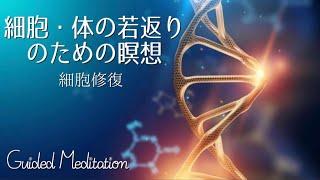 【誘導瞑想】細胞・体の若返りのための瞑想｜細胞修復・再生