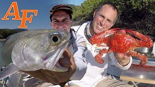 Catch and Cook Steamed Crab w Tackle Club Fishing Challenge EP.455