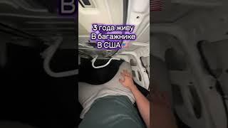 Живу в Багажнике 3 года#жизньвсша #жизньвамерике #переездвсша #переездвамерику #рекомендации