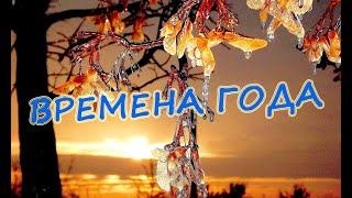 Прекрасные фото природы в разные времена года: цикл сезонов / Seasons